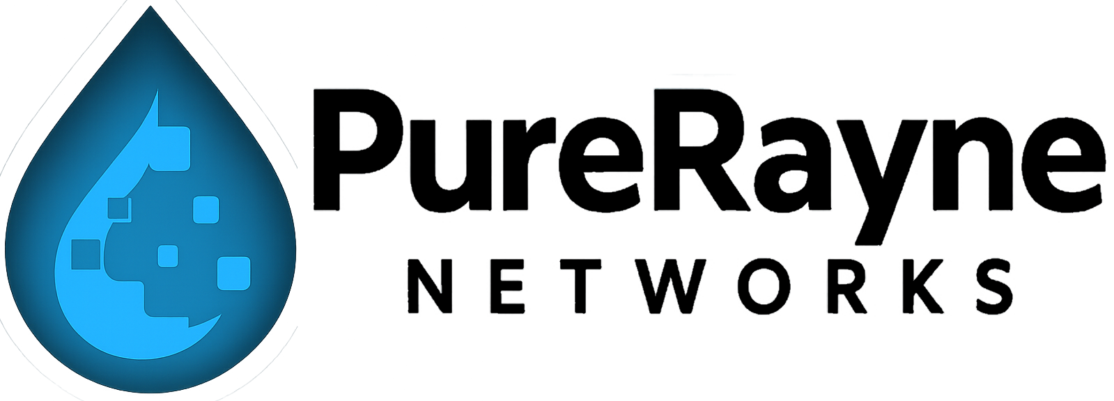 Pure Rayne Networks Logo